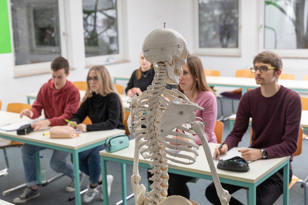 Unterricht Ergotherapie Schule Mainz - Anatomie
